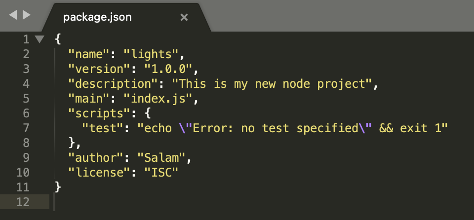 new package json file